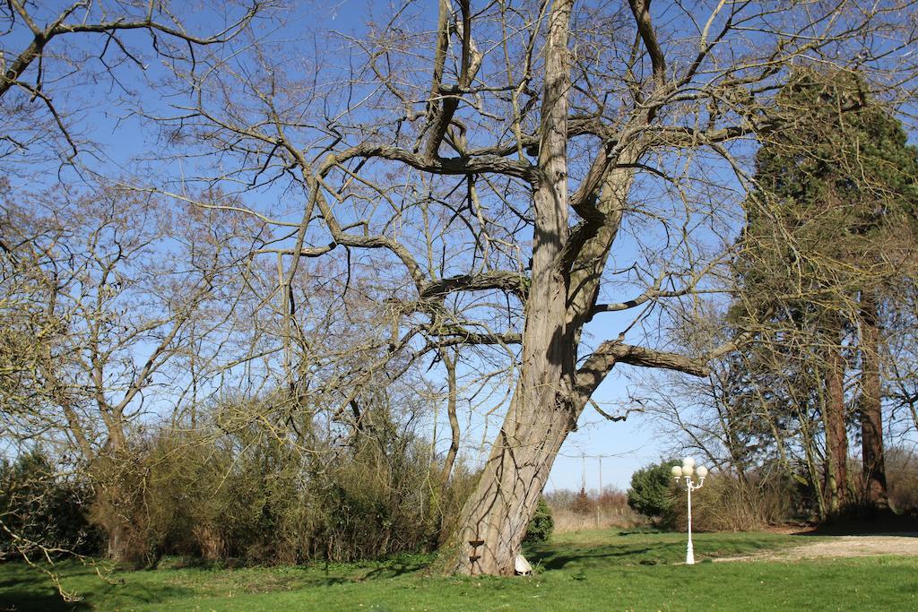 Chateau De La Folie Trie-Chateau Ruang foto