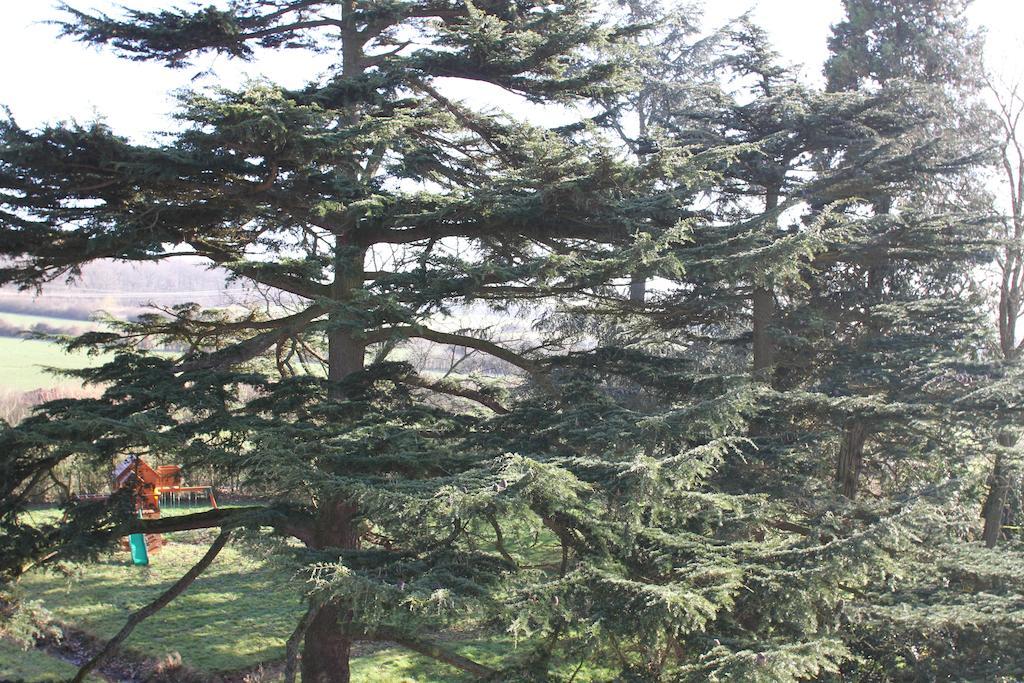 Chateau De La Folie Trie-Chateau Ruang foto